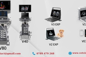 TIN TỨC CHUYÊN NGHÀNH