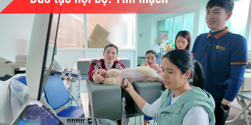 ĐÀO TẠO NỘI BỘ TIM MẠCH | 12/01/2026
